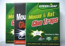 3 buc. CapcanÄƒ pentru È™oareci cu adeziv 24/17 cm