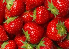 Angajam personal sortat capsuni Olanda