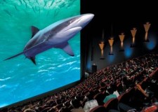 Bani pe internet! Castiguri imediate si mari!