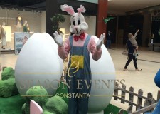 Animator Iepuras Paste Constanta  0762649069