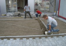 Cautam pavator Olanda