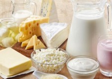 operator banda germania