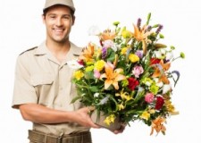 Angajez soferi pentru livrare flori in Germania