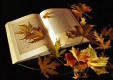 Acum bani la calculator! Castiguri imediate si mari!