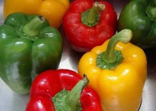 Angajam personal cules ardei Spania