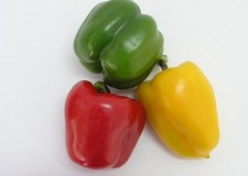 Angajez personal cules ardei Germania