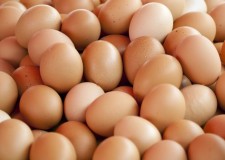 Angajez personal adunat oua la ferma de pasari