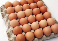 Angajam personal adunat oua la ferma de pasari