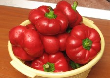 Angajam personal  cules de gogosari