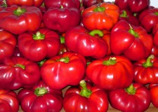 Angajez personal  cules de gogosari