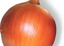 Angajez personal sortat si ambalat ceapa