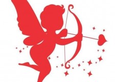 BARBAT CAUT O  DOAMNE