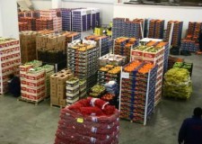 Cautam personal depozit Olanda