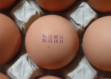 Angajam personal adunat si stampilat oua ferma gaini