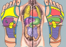 Curs Masaj reflexogen
