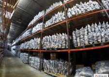 Angajam personal pentru depozit haine Olanda