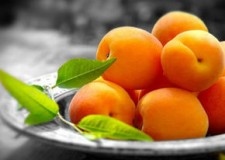 Angajez culegatori caise Germania