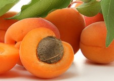 Angajam culegatori caise Spania