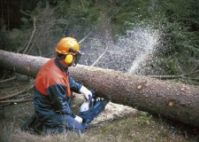 Angajam drujbisti Spania