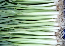 Angajez personal sortat praz Germania