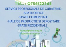 Servicii de curatenie