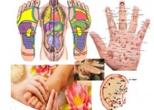 Curs Reflexoterapeut Modul Terapie zonala