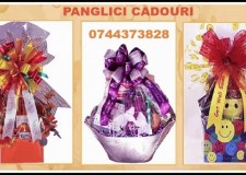 Echipament imprimare panglica decorativa pentru cadouri si florarii