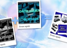 Panglici tus si role masini de scris mecanice si electrice.