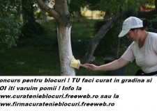 Company Services Cleaning Blocks _0724_682_275_ e-mail anoutrei@yahoo.com