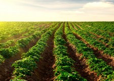 ingrijiri animale austria si germania