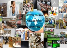 productia de bscuiti germania