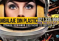 Cutiute Macarons Process Color