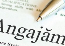 Asistenta manager / marketing