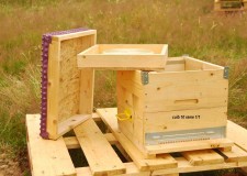 Stup 10 rame vertical Dadantn