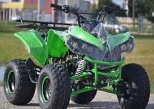 ATV Renegade 125 CC + Casca Cadou IMPORT GERMANY
