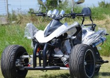 Speedbird Transformer TS14