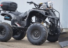 250cc Grizzly  10 Offroad