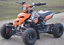 ATV Dragon 502T import germania