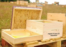 Stup 10 rame multietajat