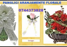 Imprimanta panglici flori