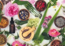 Curs Aromaterapie si fitoterapie