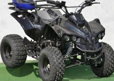 ATV Model:Warrior NOU! Motor Fiabil 125cc(Roti 8 inch)