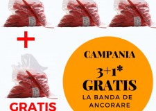 Super oferta 3+1 gratis : banda de ancorare TOTAL RACE