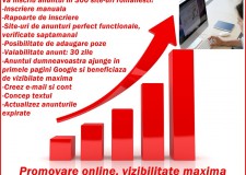 Promovare online, vizibilitate maxima