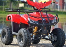 Atv Bmw 125cc 3g7,import Germania