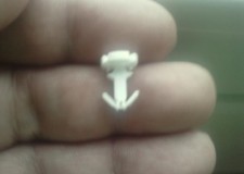 SIGILII SI HOLOGRAMA TECHEM