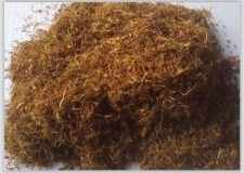 Vand tutun Burley frunze