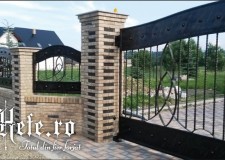 Garduri si Porti fier forjat