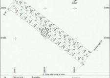 Vand parcele 400mp Comuna Berceni Ilfov