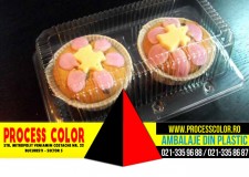 Caserole Briose | Ambalaje Plastic